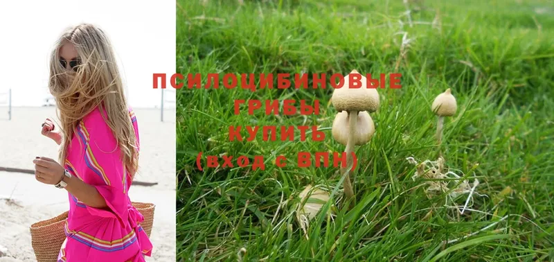 Псилоцибиновые грибы Magic Shrooms  Борзя 